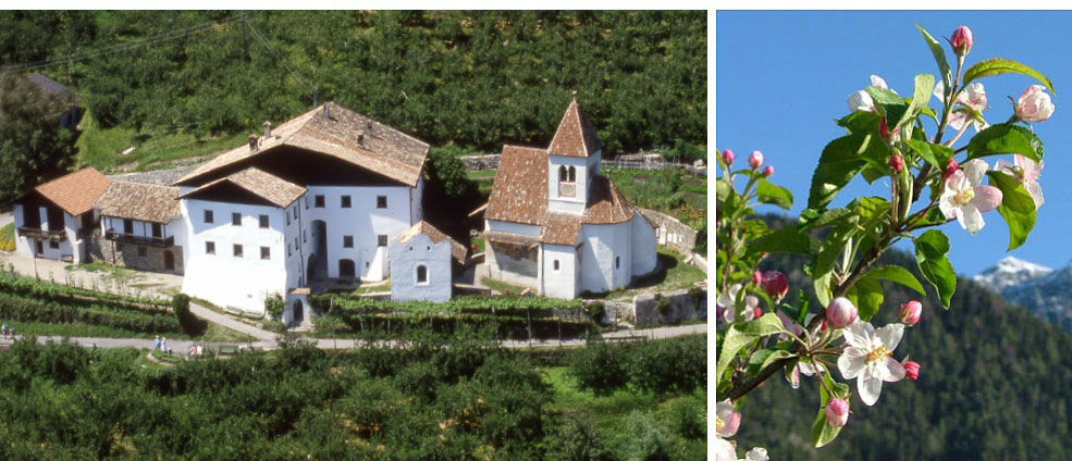 Ferienwohnung in Dorf Tirol: St. Peter Appartements Dorf Tirol